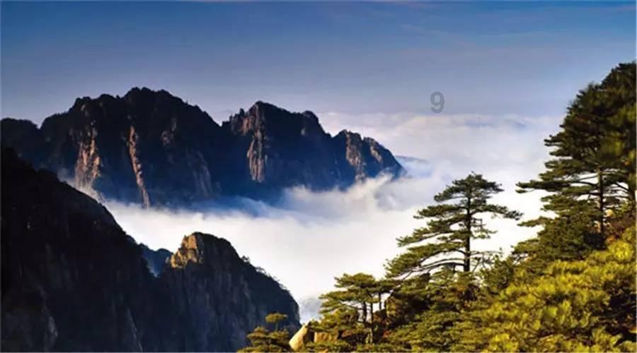 美发沙龙设计师